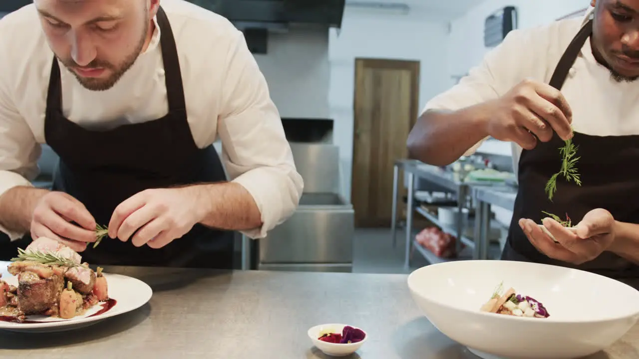 Two diverse male chefs decorating meals in kitchen slow motion