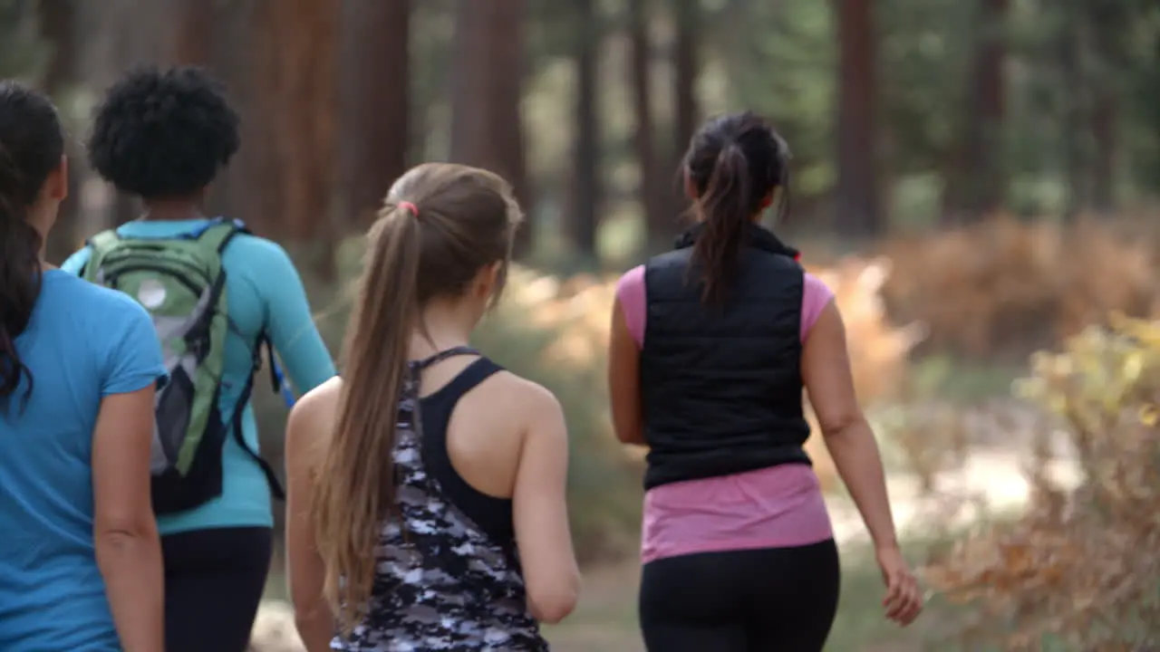 Group of women runners walking in forest talking back view