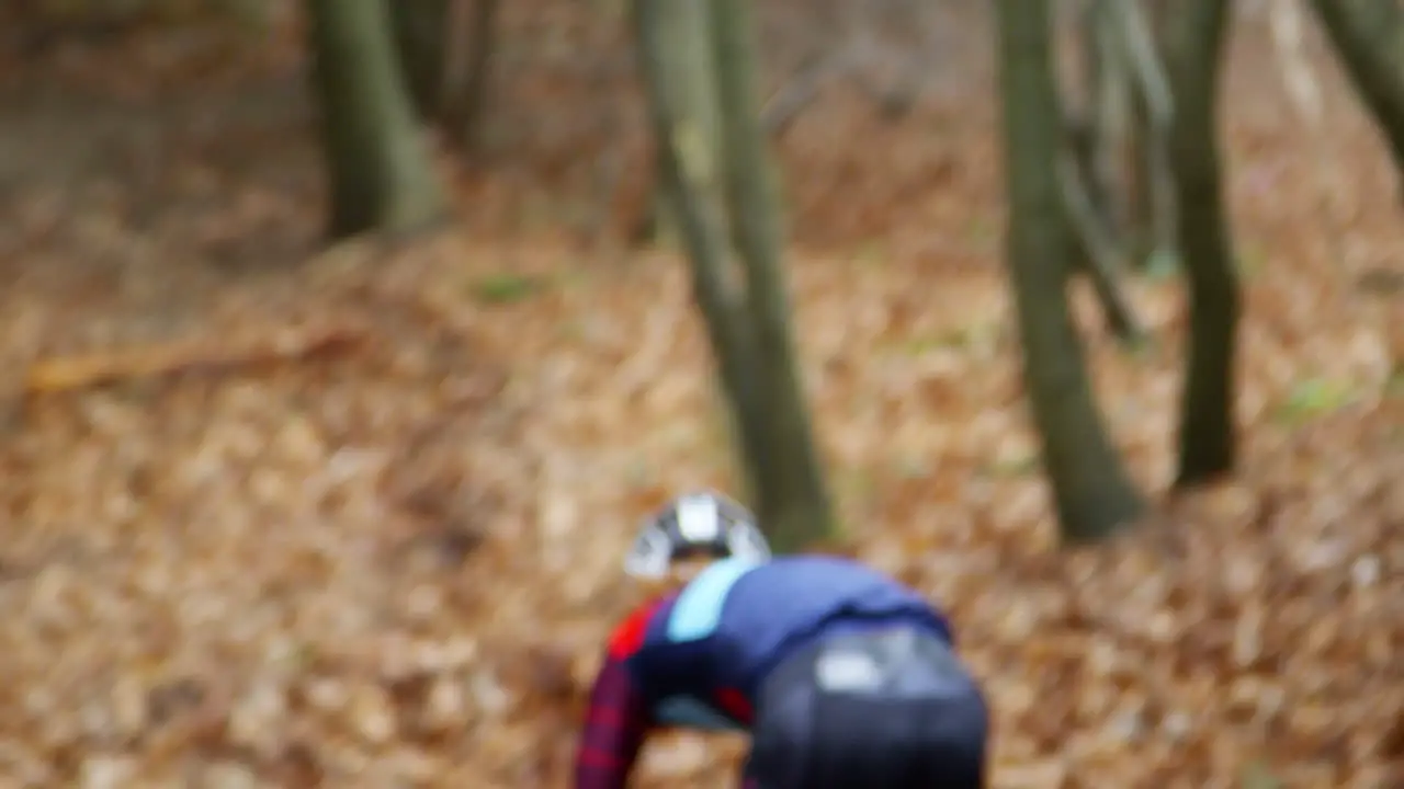 Cross-country cyclist making descent in a forest back view shot on R3D