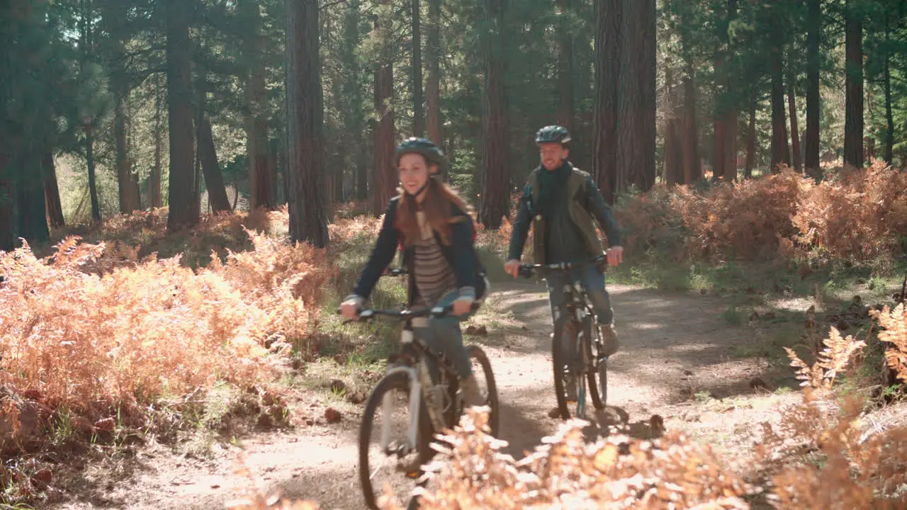 Four friends cycling past in a forest backlit