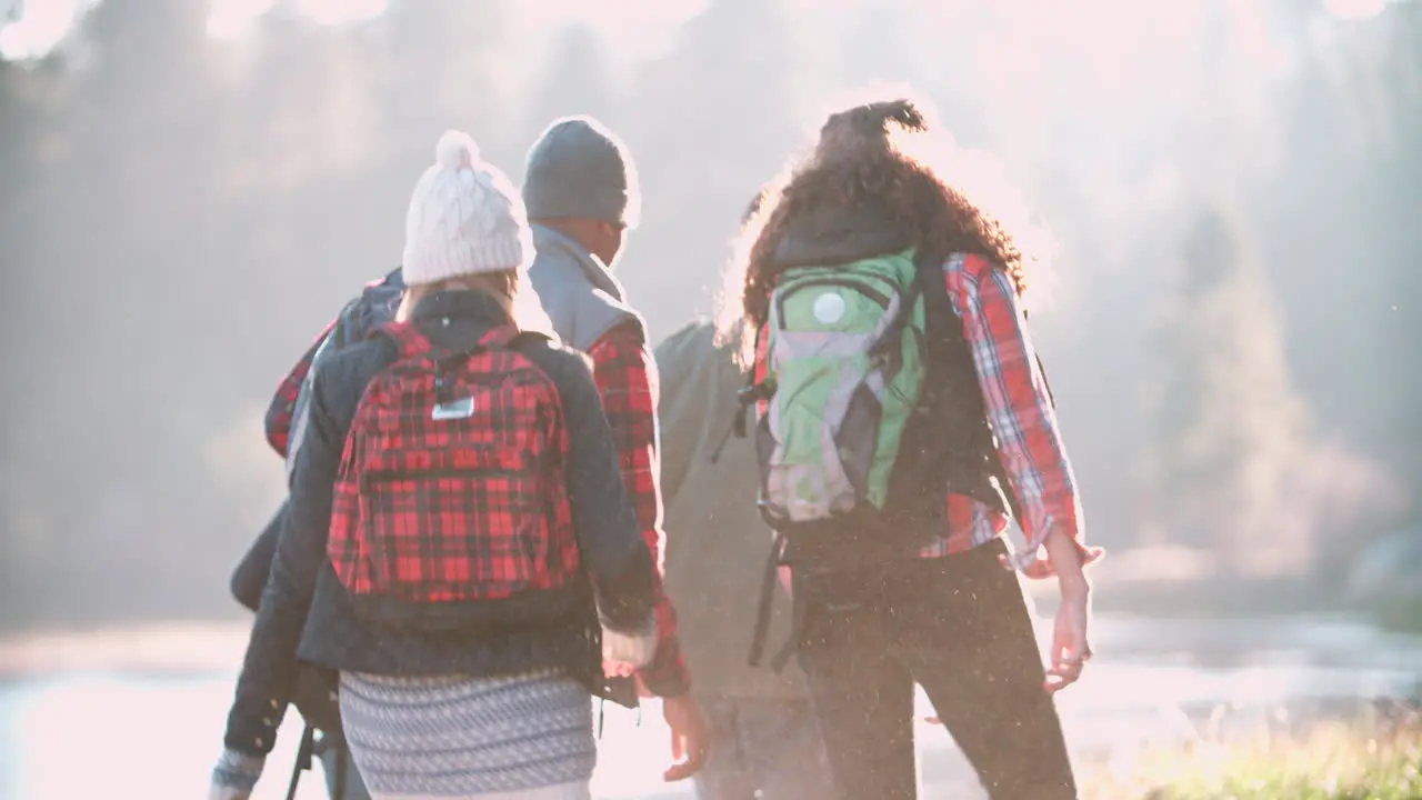 Five friends on camping trip walking near lake back view