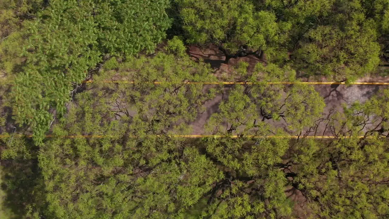 Overhead daytime aerial view of the nature reserve capturing the beauty of a tree-lined street on the outskirts of Buenos Aires