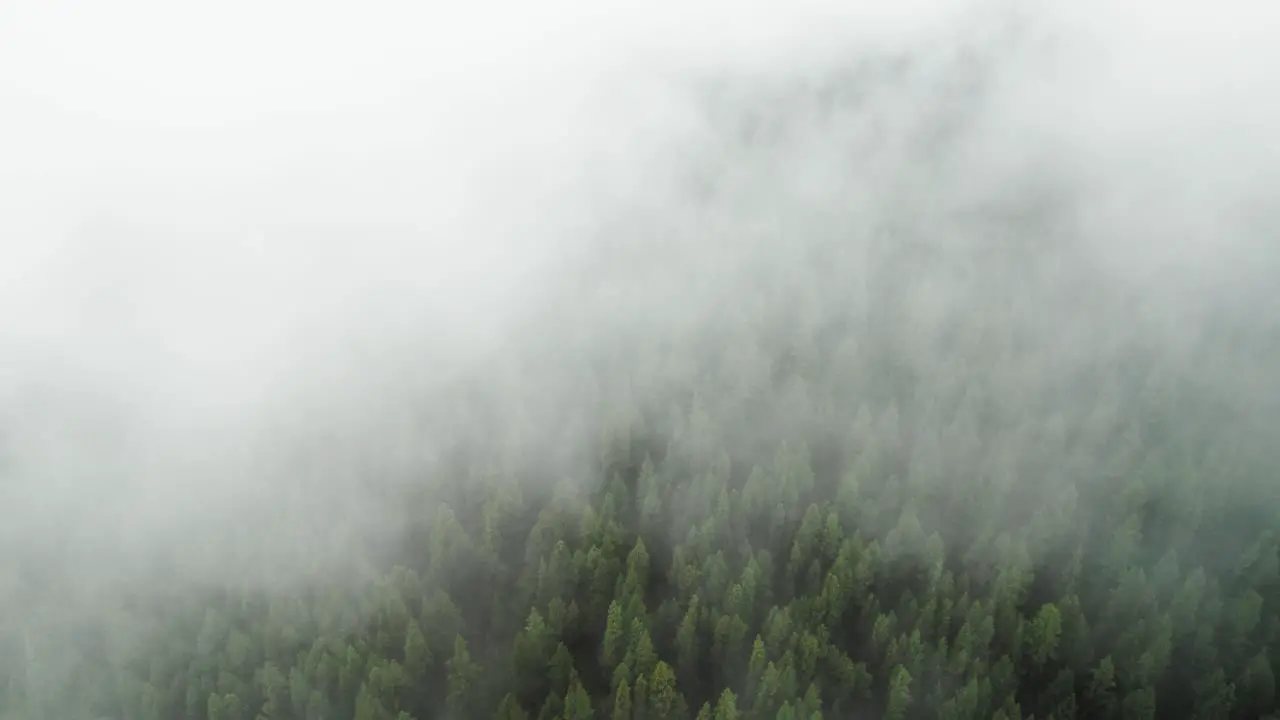 Clouds Rolling over Forest in the Mountains