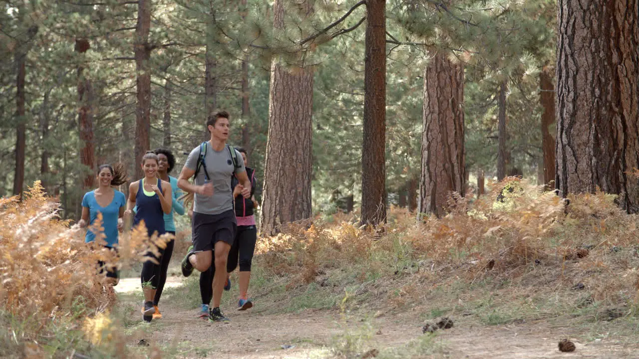 Group of six young adult friends running in a forest