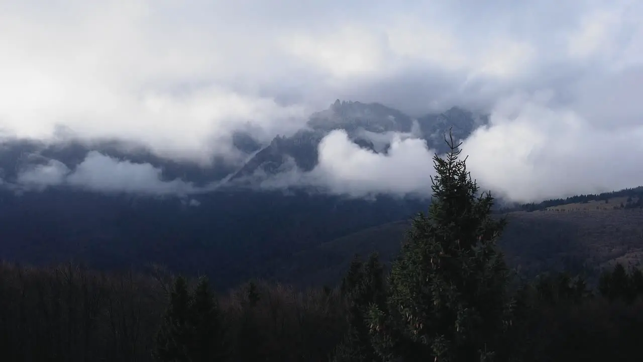 Drone shot flying passing some pine trees with a mountain misty landscape