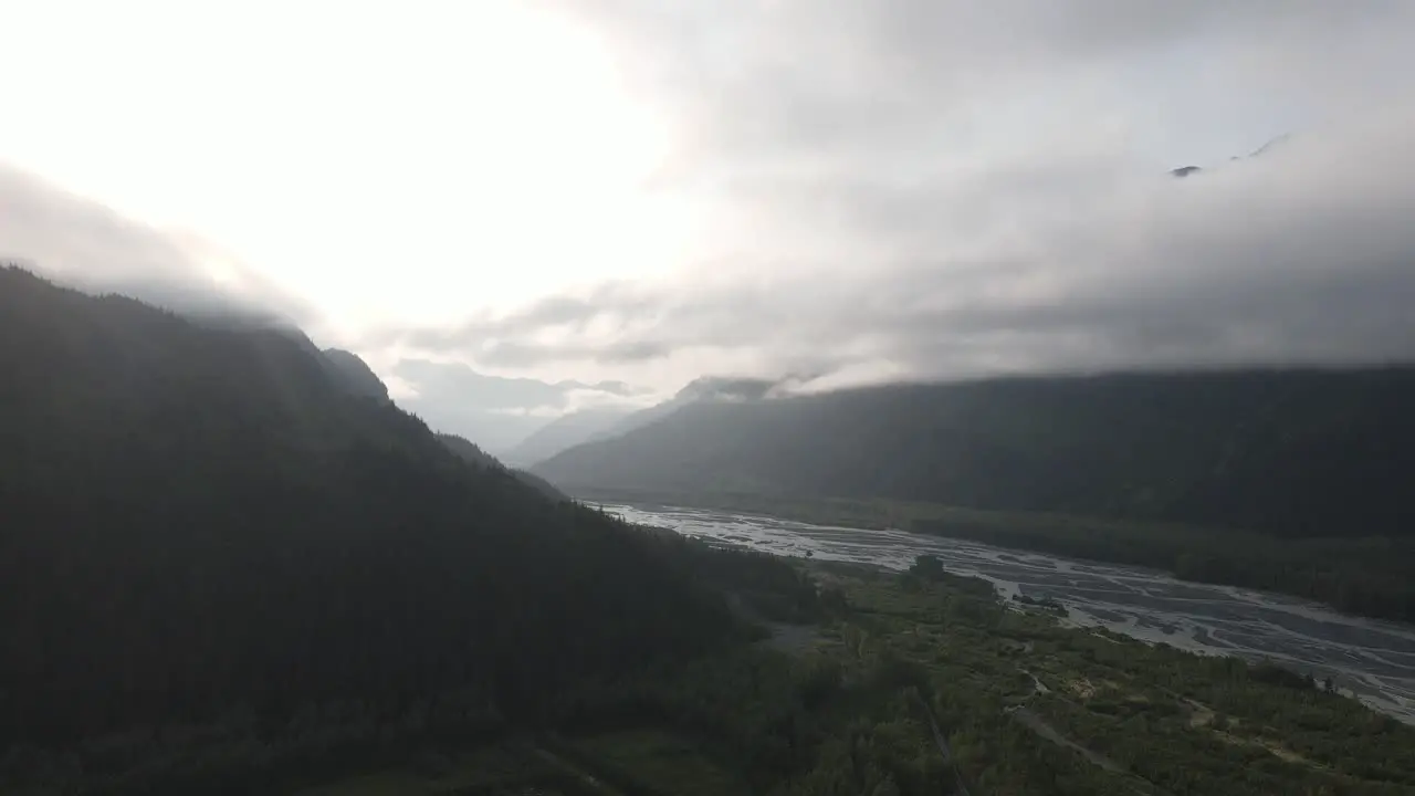 aerial view of lush green forest