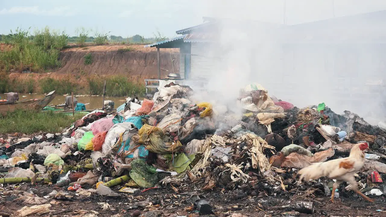 Smoking Trash Burning in a Pile