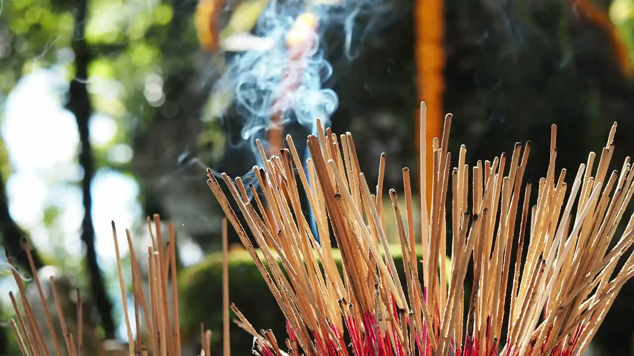 Burning incense sticks and smoke in sunlight