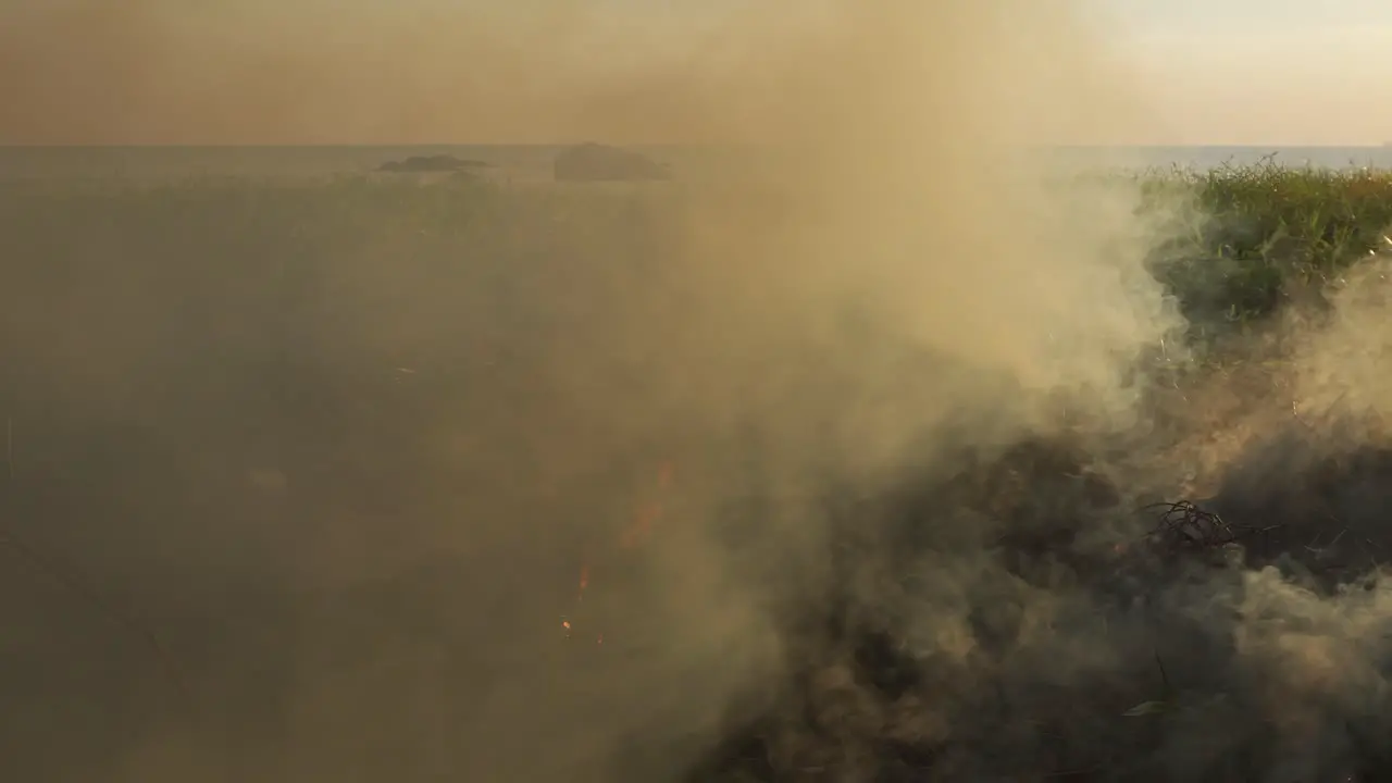 Burning trash near beach after picnic