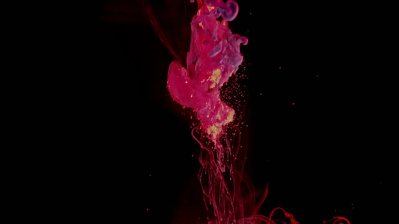 Fiery pink and purple ink flows like lava through water on black abstract