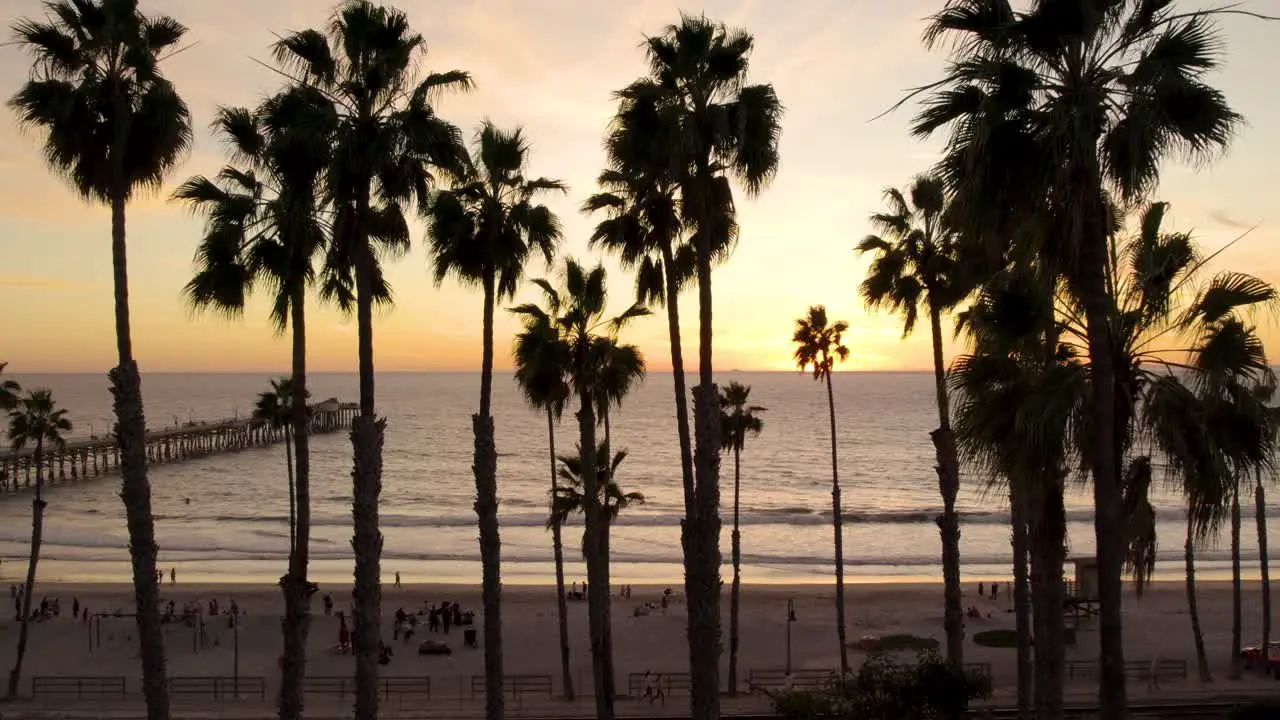 San Clemente Beach with Palm Tree Silhouettes during Beautiful Sunset Aerial