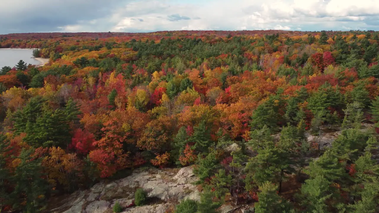 Looking down on hilly forest of breathtaking Autumn colors