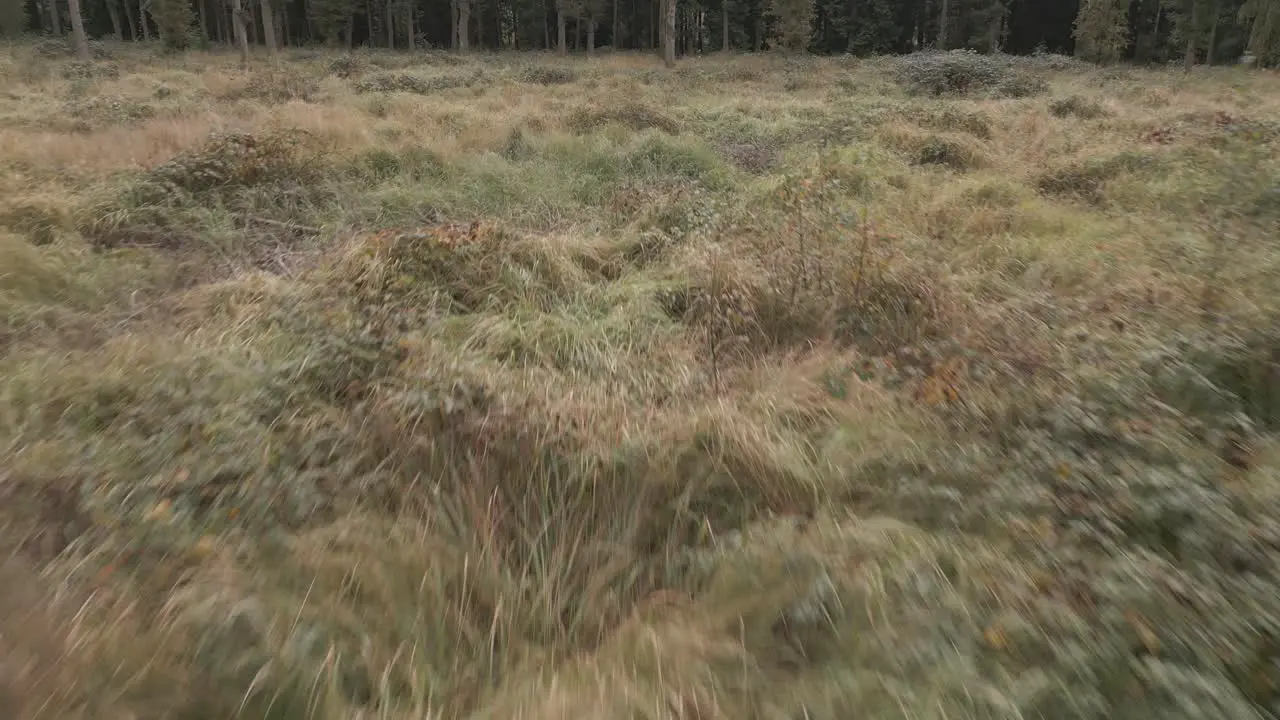 Low aerial flying among the grass with part of the woodland revealed