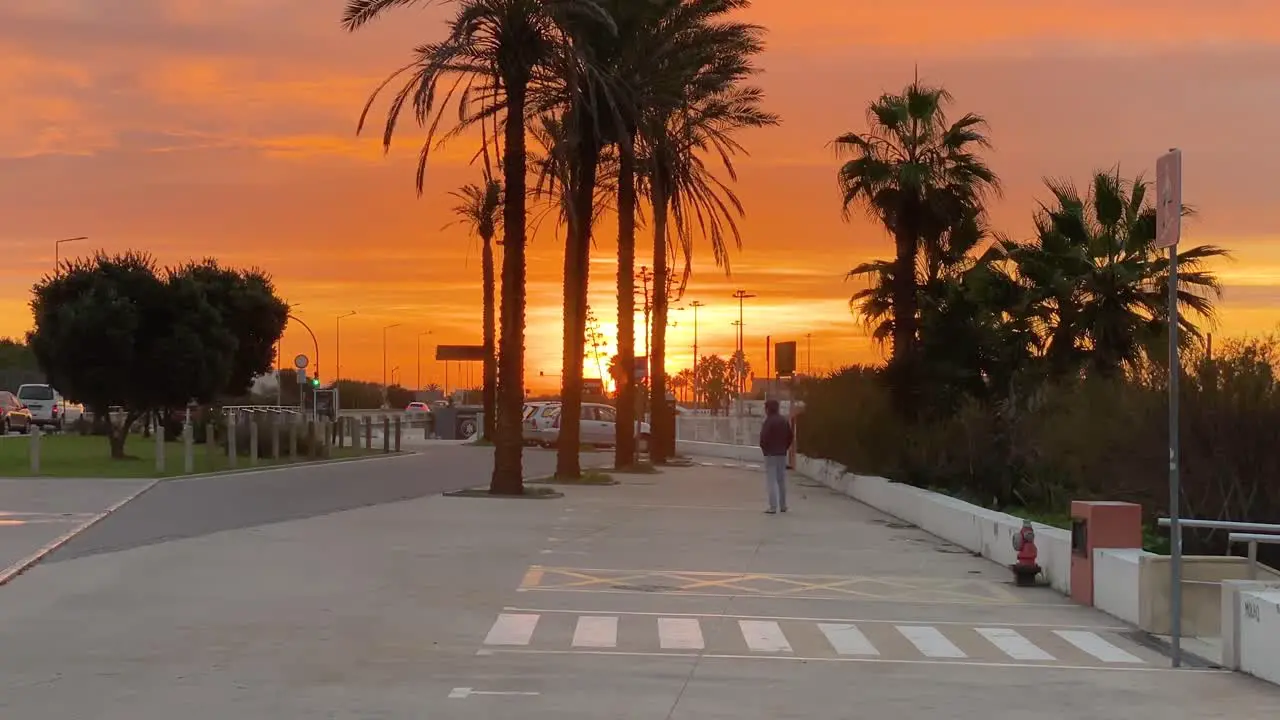 A man in silhouette walks through a parking car in middle of palm trees with sunset in background