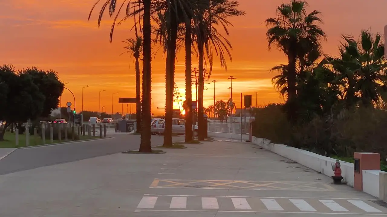 Lonely palm trees at sea and dramatic sunset on the empty beach parking marginal road Carcavelos