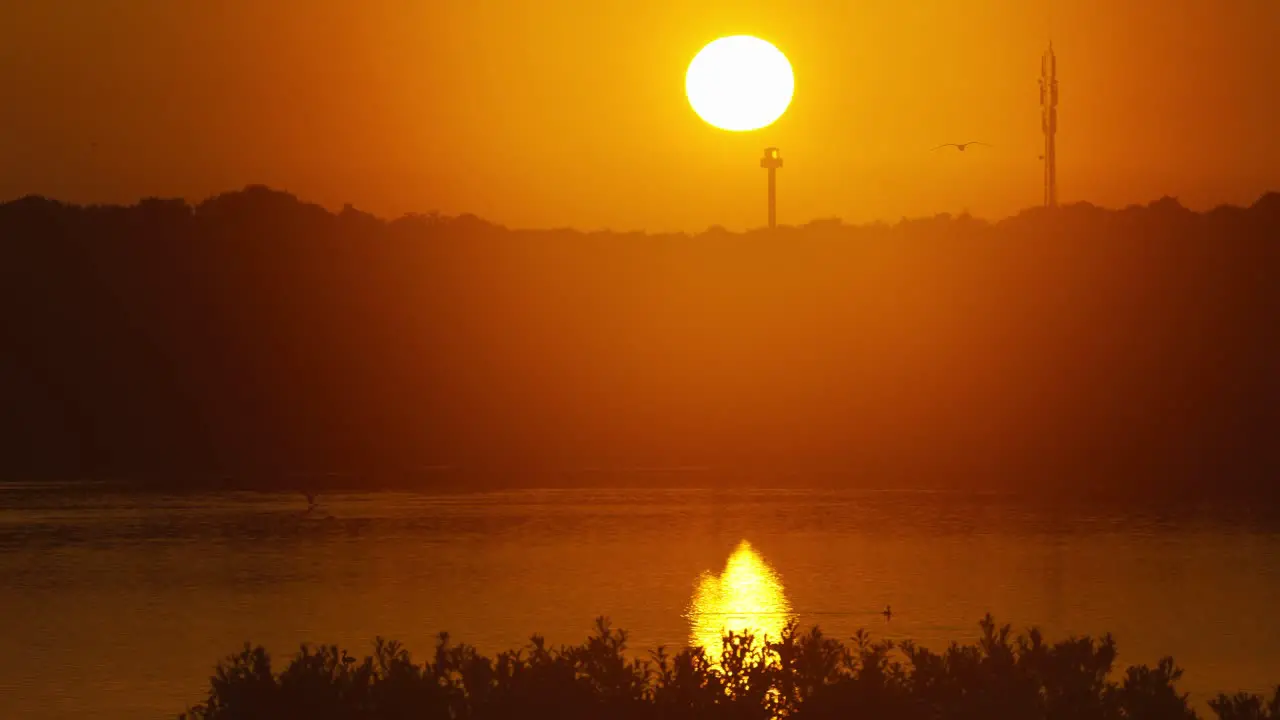 Beautiful picturesque of bright yellow landscape during sunrise