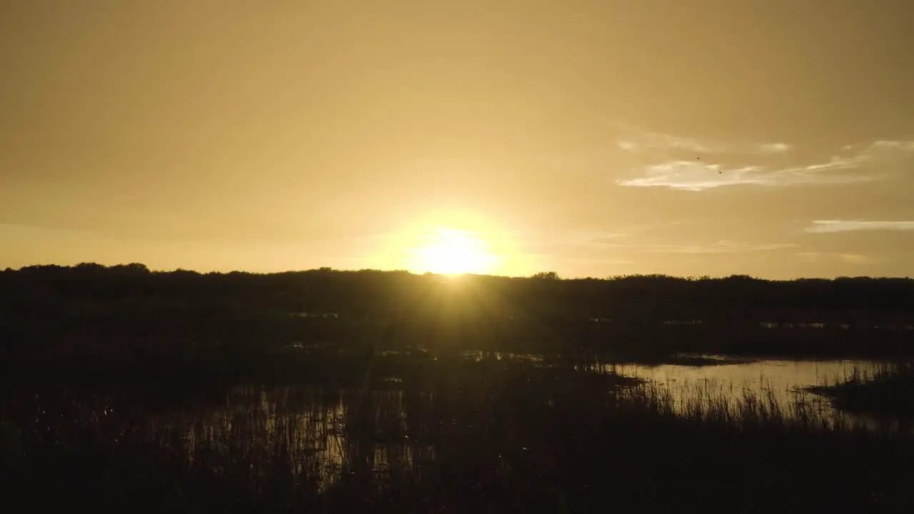 rainy everglades sunset slough landscape habitat