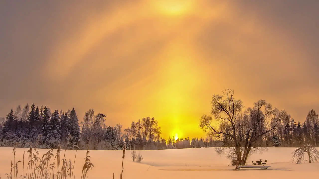 Vivid Sky Of Sunrise To Sunset In Winterly Forest