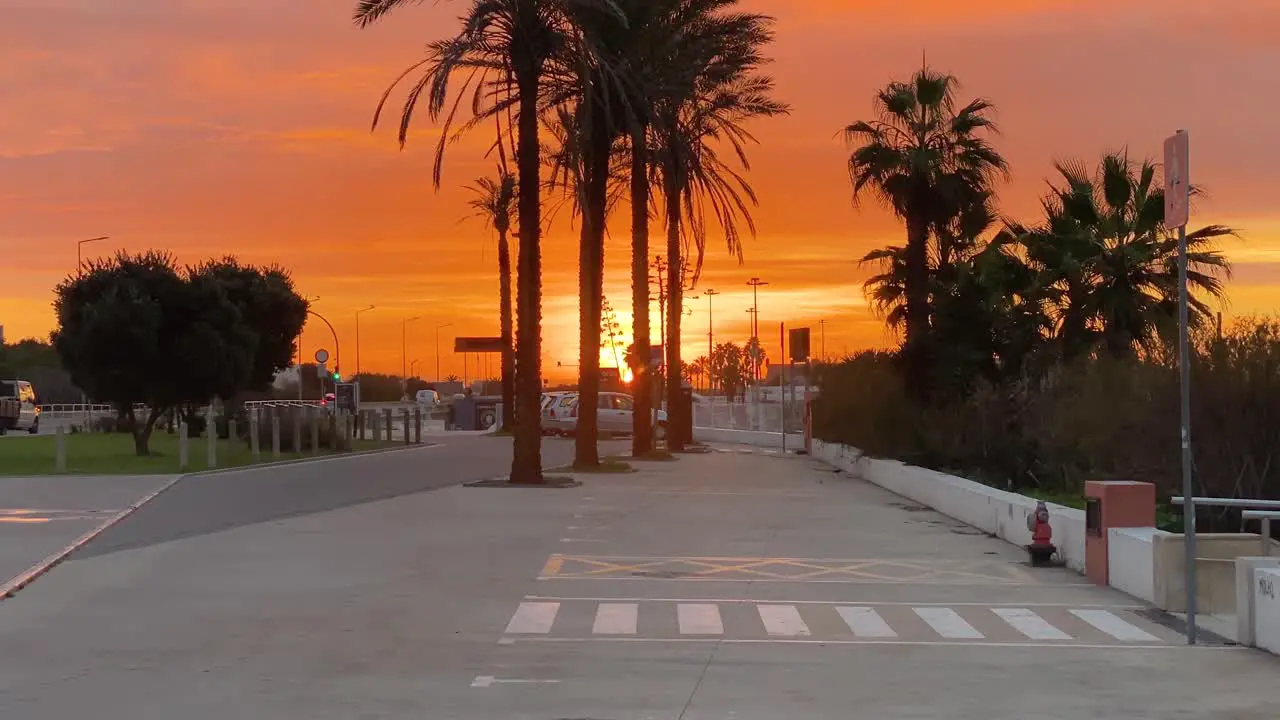 Lonely palm trees at car parking and dramatic sunset on the empty beach in marginal road Carcavelos