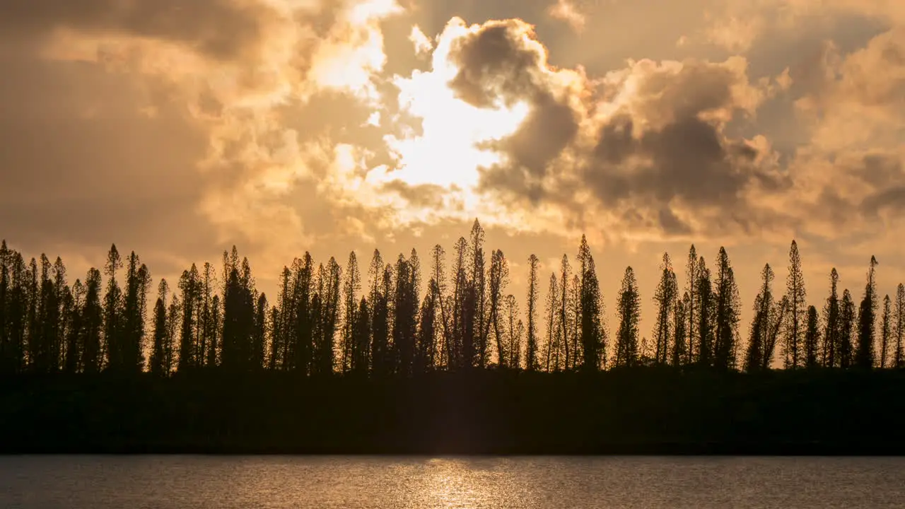 Vibrant orange sunset silhouettes Columnar pines on Isle of Pines