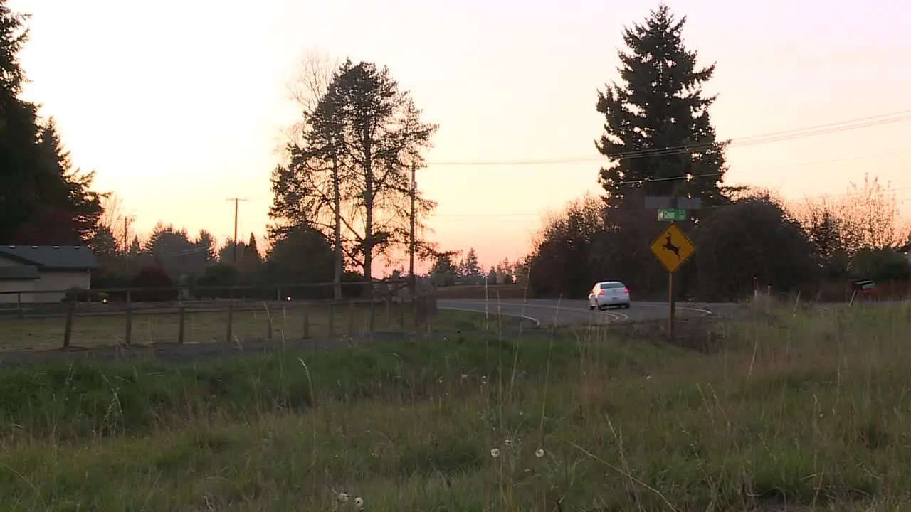 CAR DRIVING ON CURVED ROAD AT SUNSET