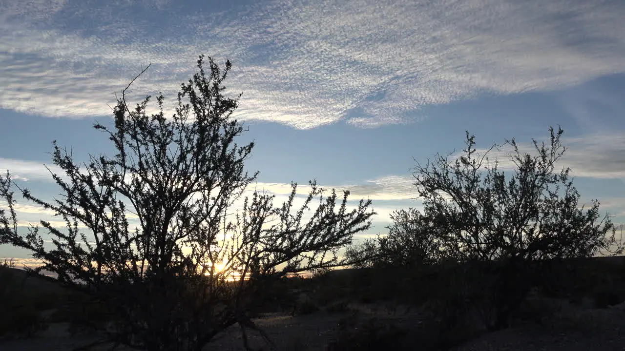 Arizona Desert Shrubs And Sky Zoom Toward Sun