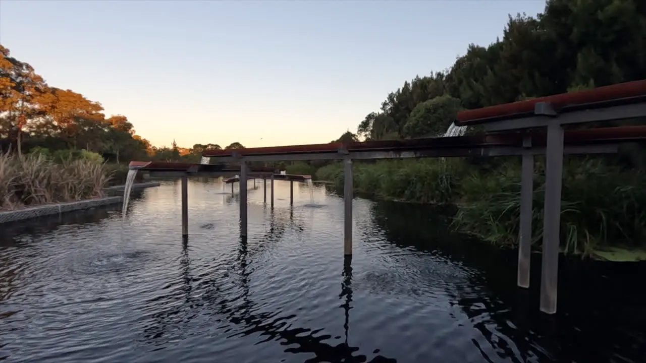 Small birds swooping over a water feature in a lake