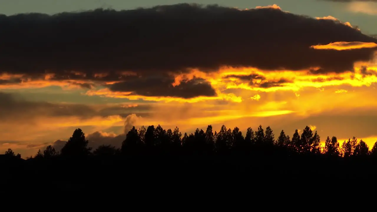 Beautiful orange sunset over moving silhouette of wooded suburbs aerial footage