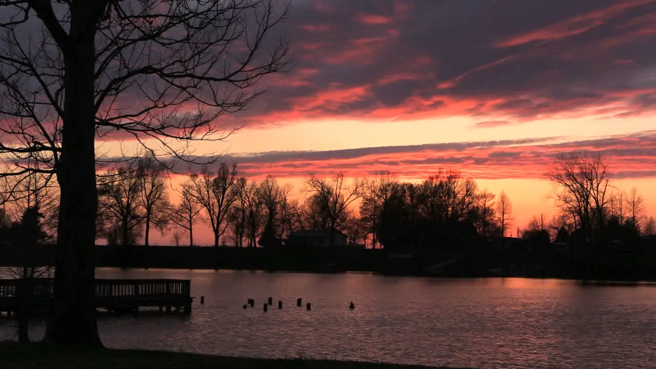 Tennessee Reelfoot Lake Bright Sunset With Tree