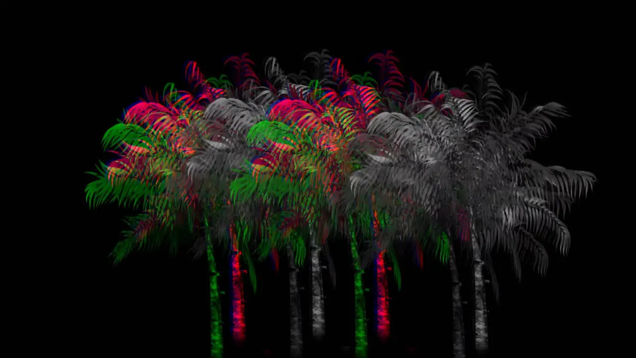 Colorful and monochrome palm trees 4k