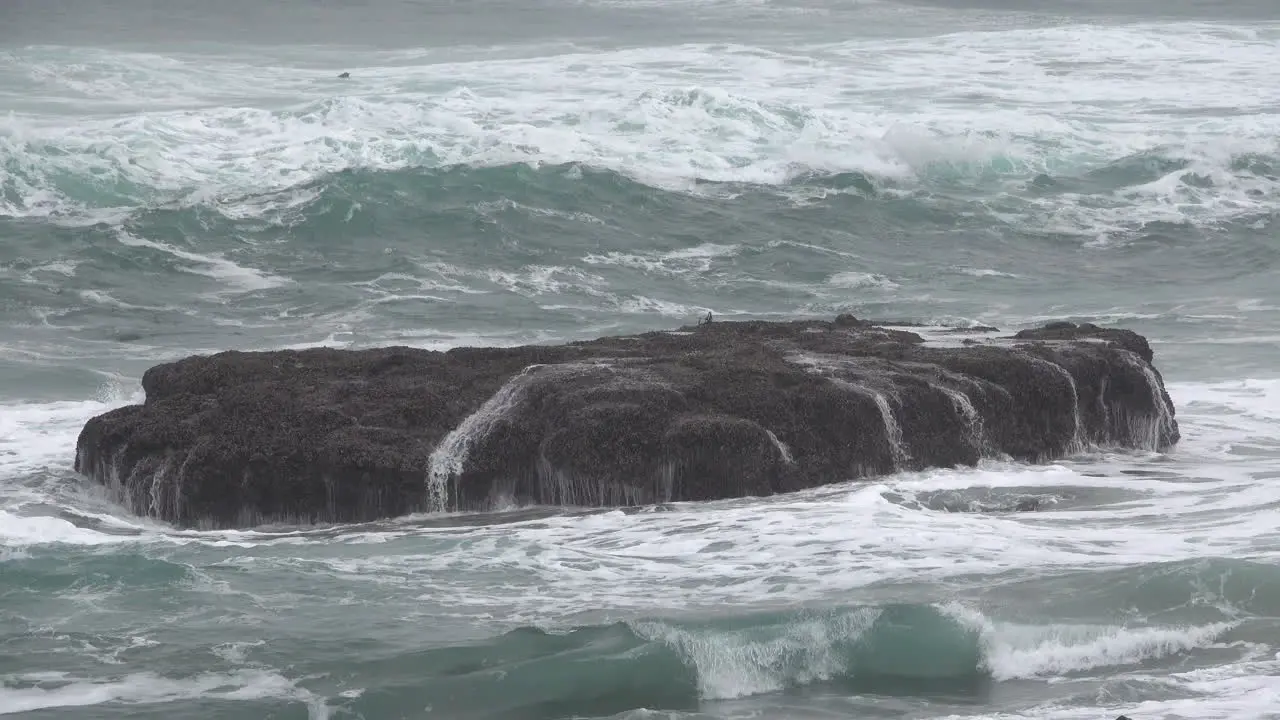 Oregon waves cover flat rock