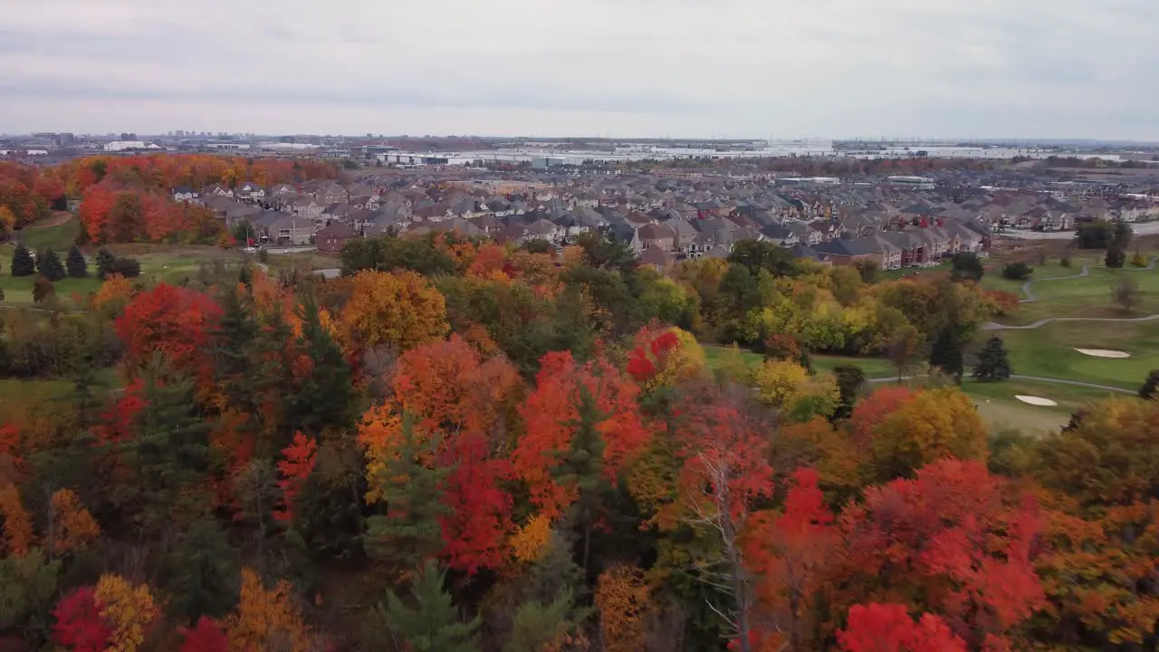 Push in aerial view of woods and trees in a fall cloudy moody day