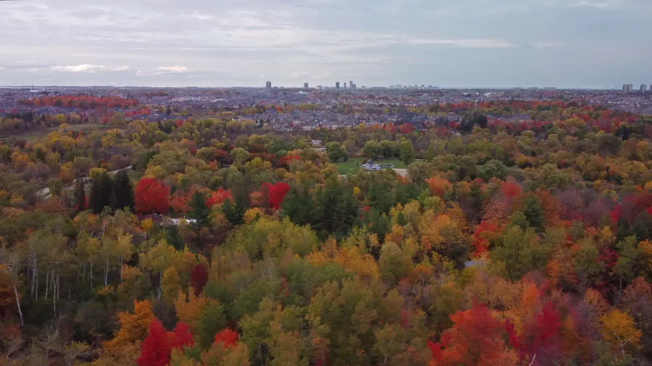 Orbit aerial view of woods and trees in a fall cloudy moody day