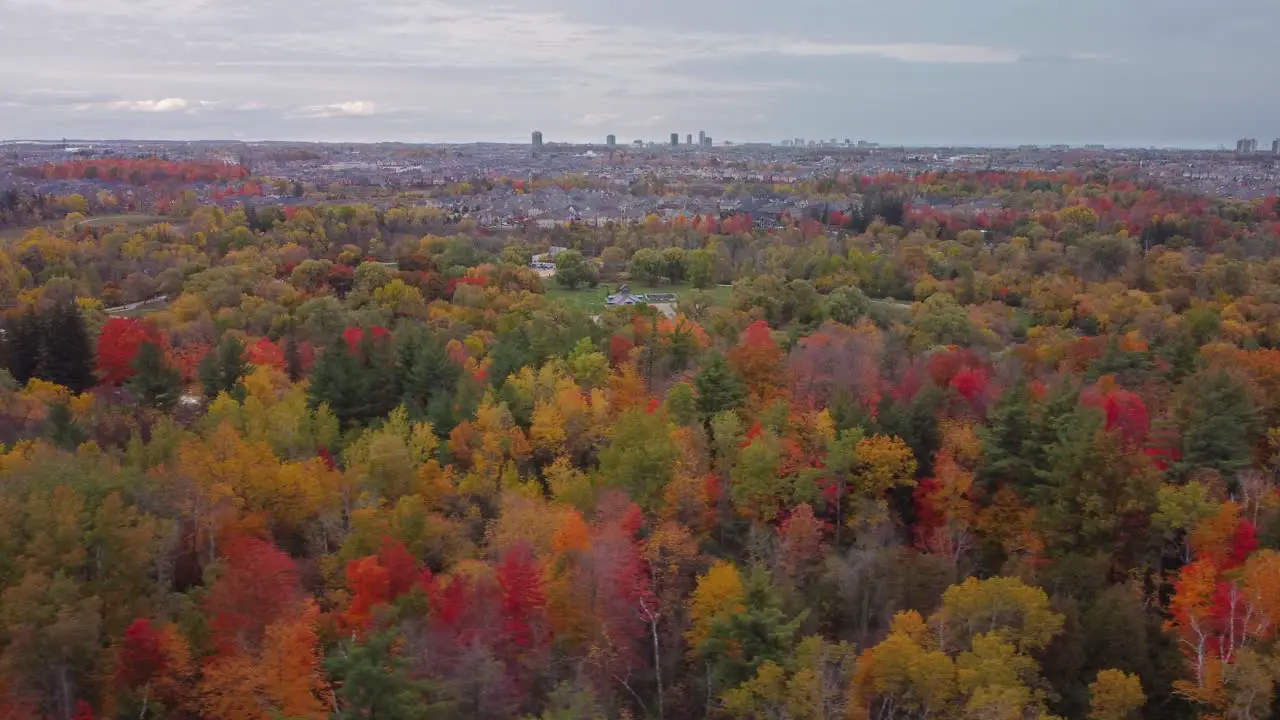 Sideways drone view of woods and trees in a fall cloudy moody day