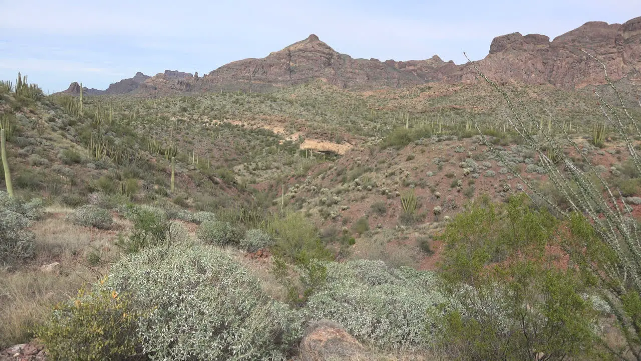 Arizona Desert Valley View