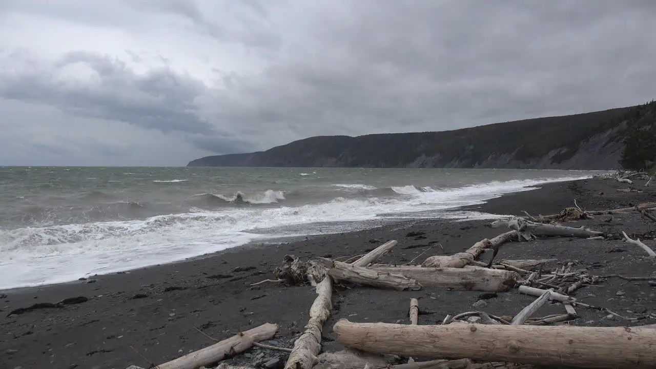 Canada Bay Of Fundy Driftwood On Beach