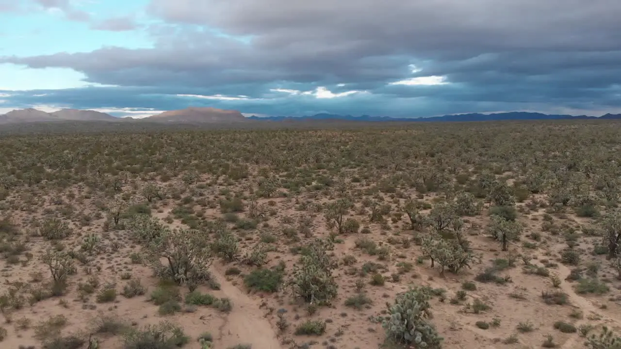 Aerial of desert outside Prescott Arizona USA