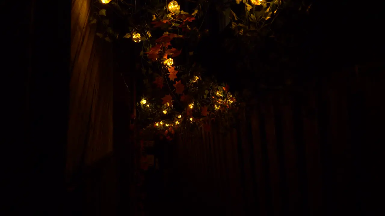 Vines and glowing lightbulbs in dim alley at night