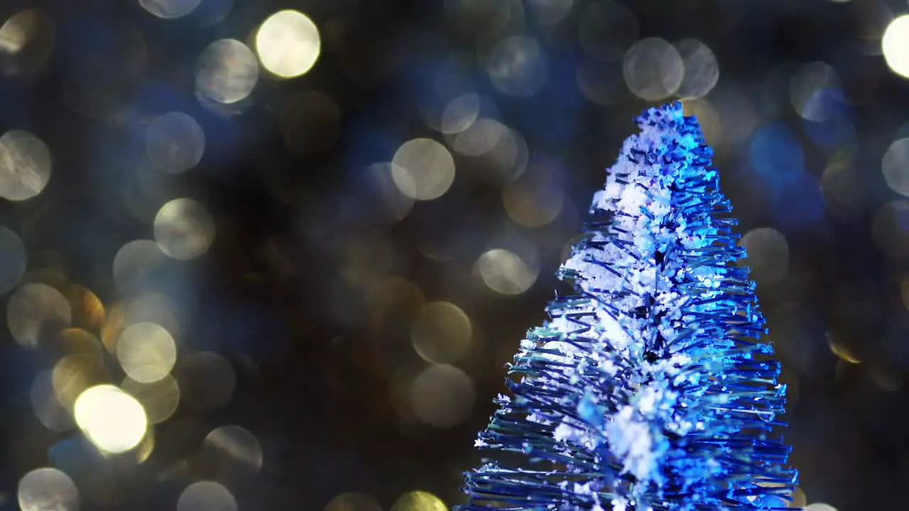 Tip of snow covered green bottle brush tree on right of frame with bokeh beackground at night