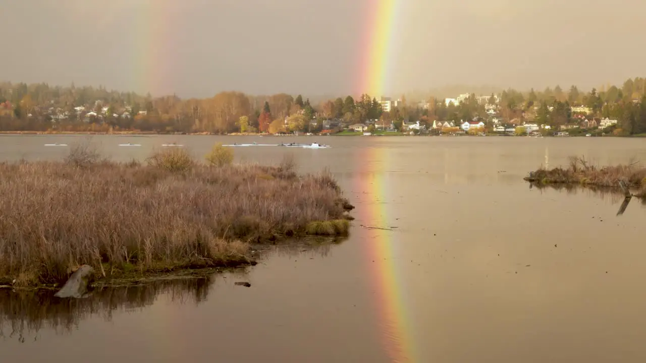 A team of racing skulls paddles through a bright rainbow reflected in golden afternoon light