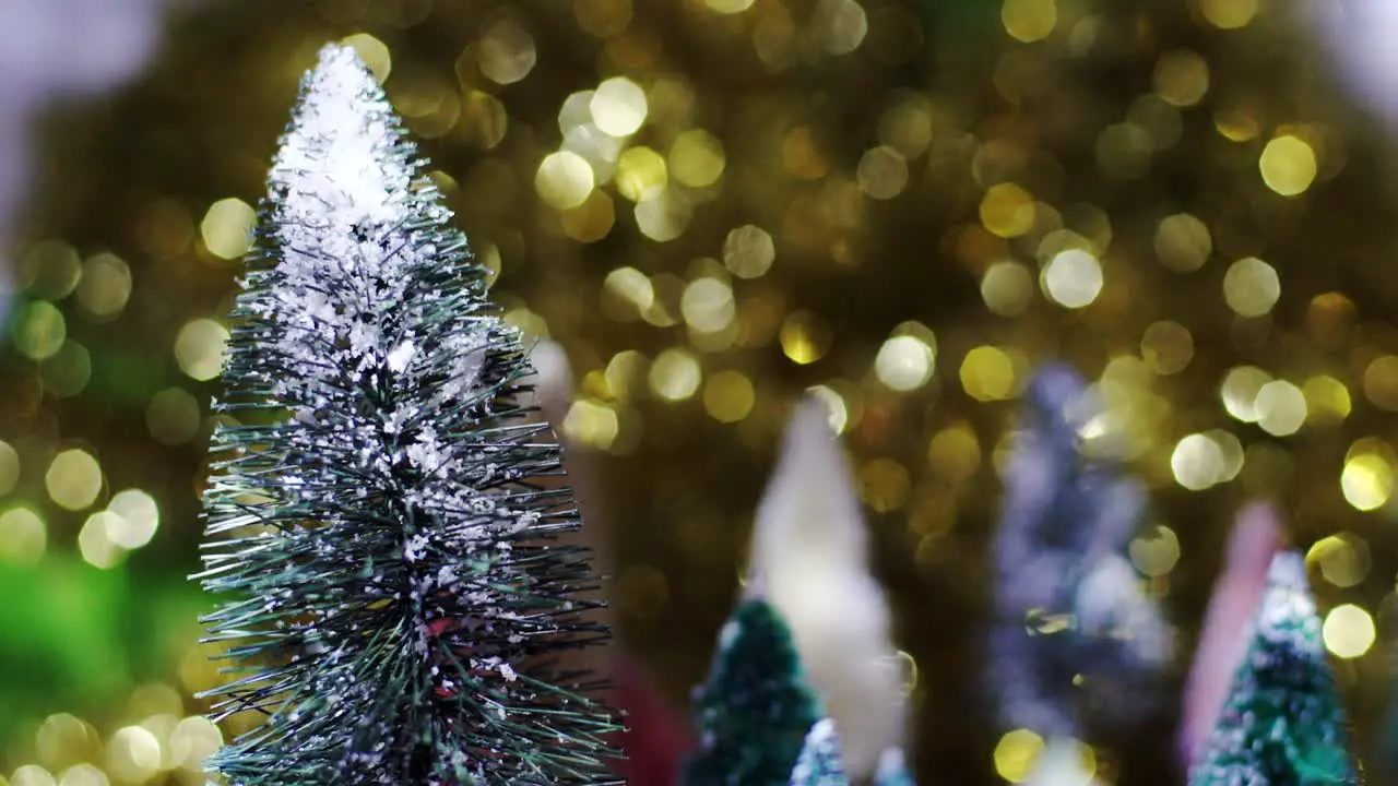 Sparkling lights dance across bottle brush tree forest with gold glittering background at night