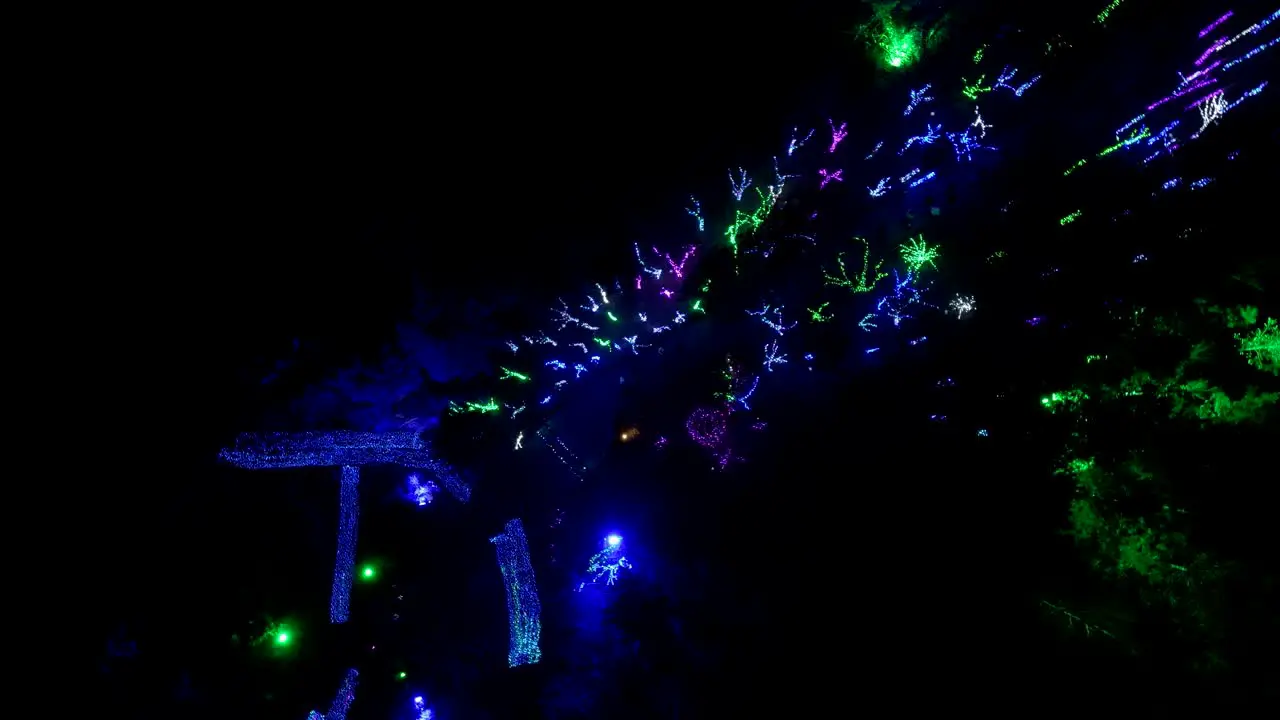 Christmas lights along a garden park walkway straight down aerial spin