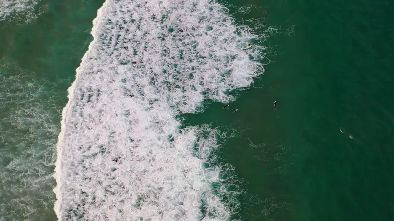 Sydney Bondi Beach Surf