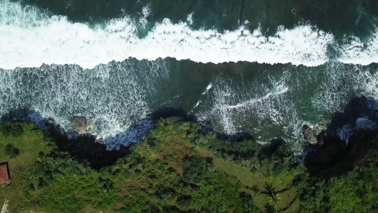 Aerial top down of massive waves of sea crashing against overgrown cliffs during sunlight