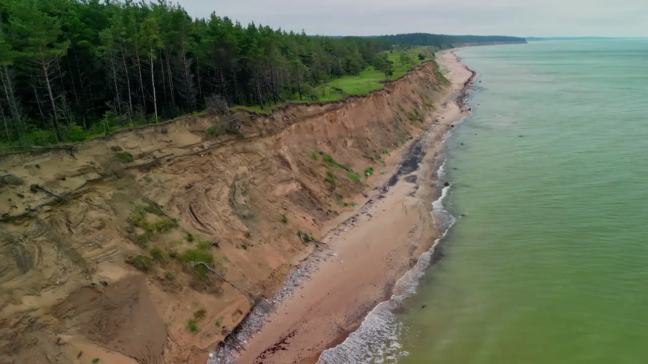 Aerial drone forward moving shot over wavy ocean along dense forest with green trees under cloudy day