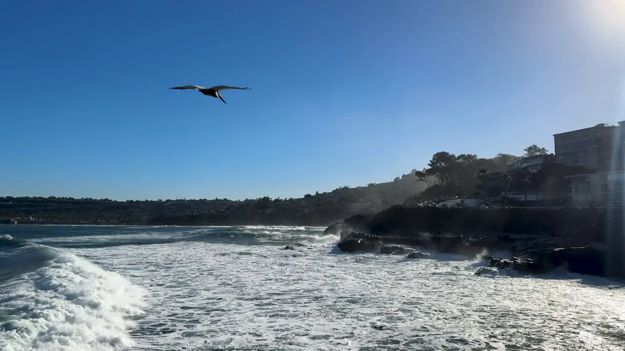 4K slow motion footage of large ocean waves crashing on cliffs during high tide in La Jolla Cove San Diego California