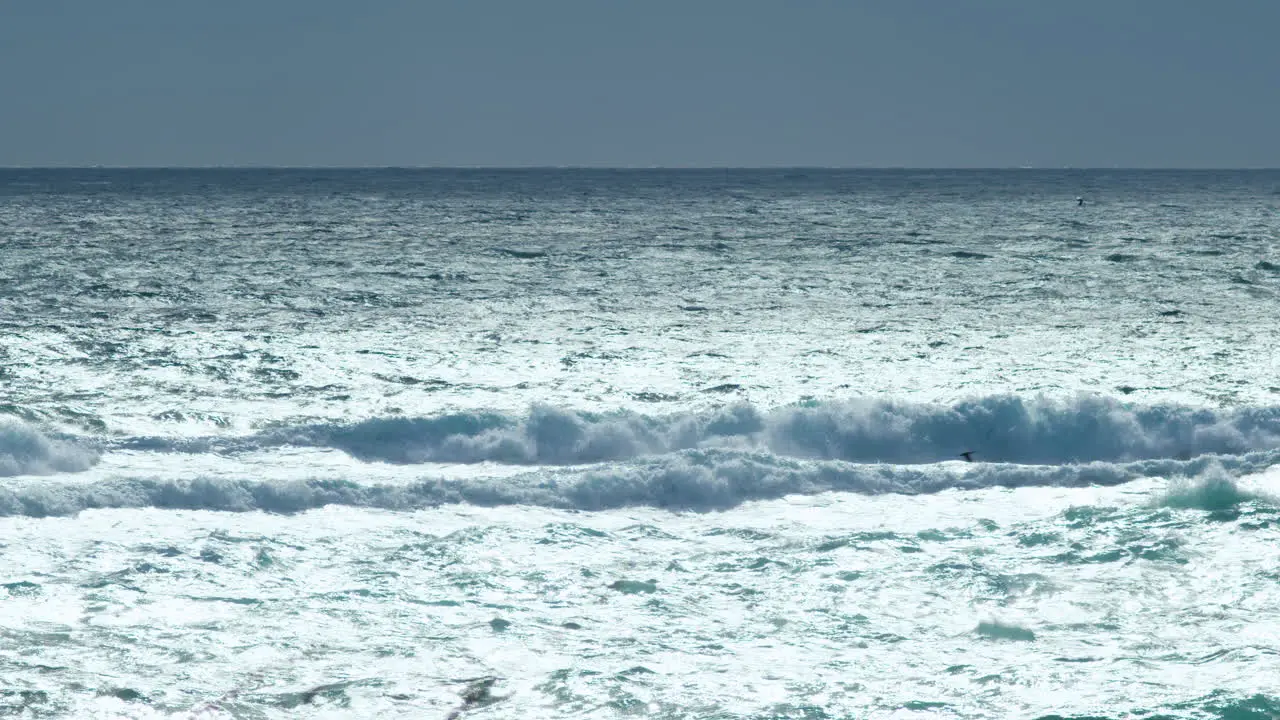 Big waves breaking near shorline during strong winds grebes and seagulls flying through