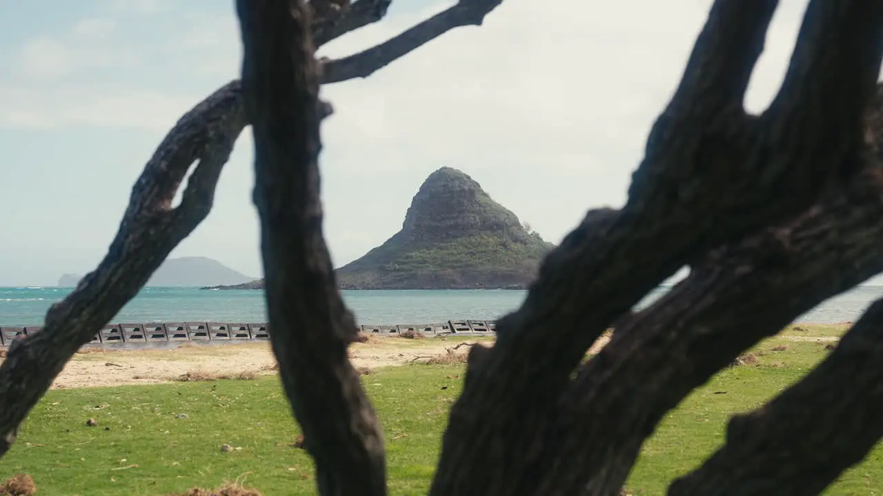 slow motion shot of Chinamans Hat Mokoli'i in Oahu Hawaii shot through some tree branches with the beach and ocean in the distance