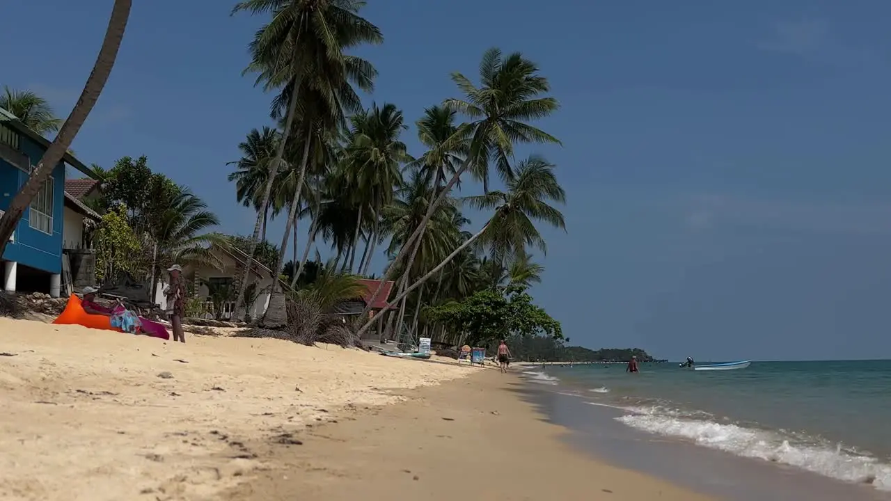 Stunning Shot of Palm Trees on Maenam Beach in Koh Samui Thailand