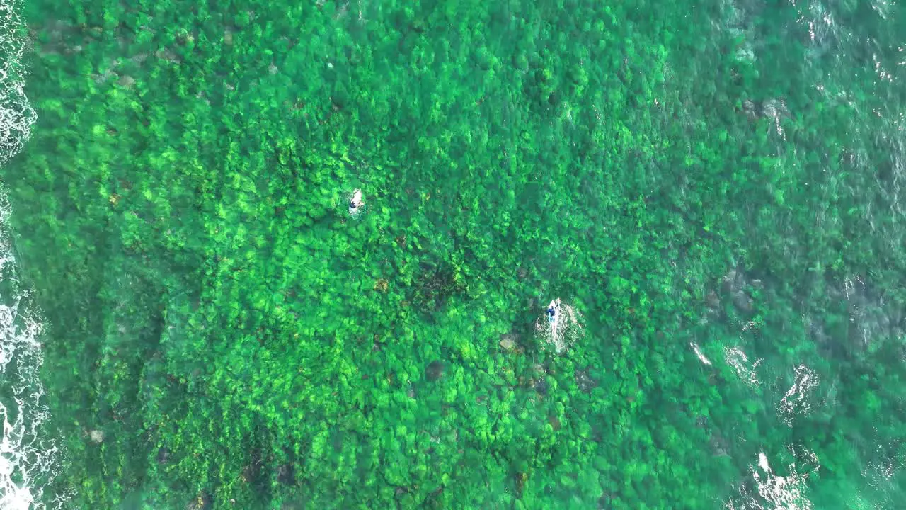 Aerial Surf Ballet Surfers Slowmo Glide Over Green Reef at Northern Beaches Sydney Australia